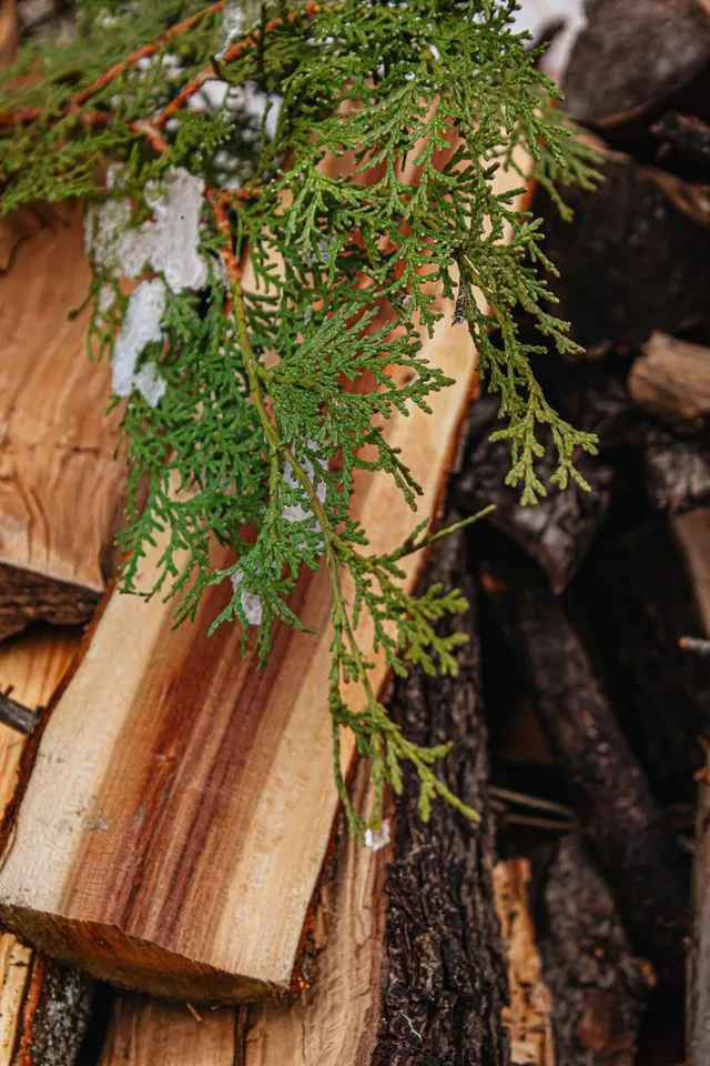 Cedarwood
