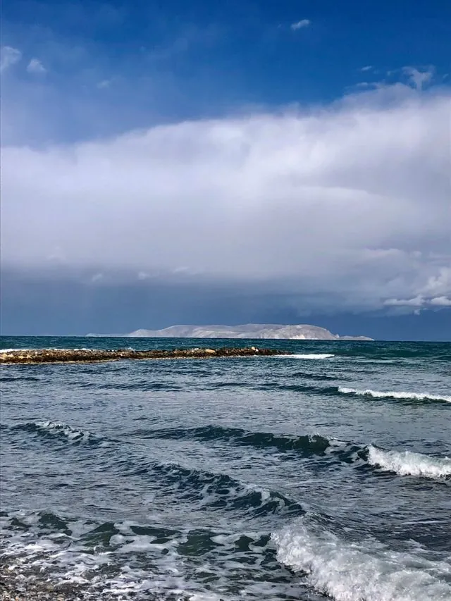 Marine