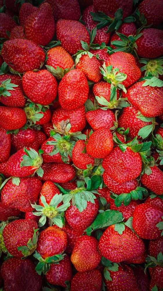 Berry